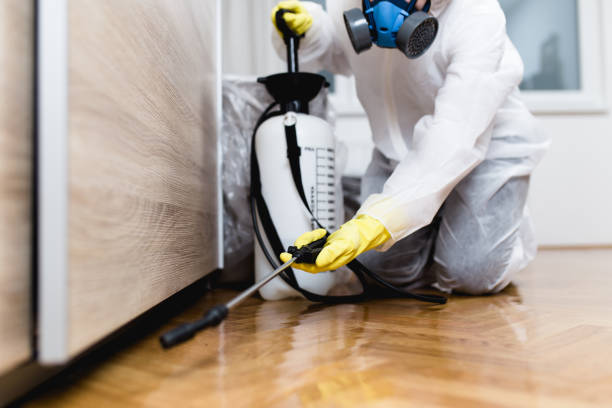 Best Local Pest Control Services  in Walton Park, NY