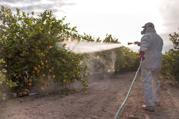 Best Pest Inspection Near Me  in Walton Park, NY