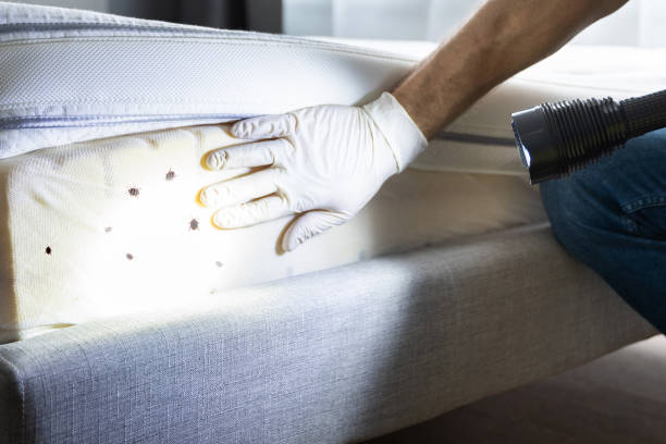 Best Insect Control  in Walton Park, NY