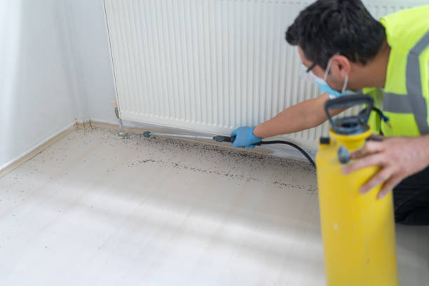 Best Pest Inspection Near Me  in Walton Park, NY
